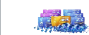 SVIP Max Bundle (4W + 1M + 4WL)